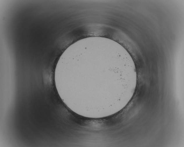 X0000102480305200808151455