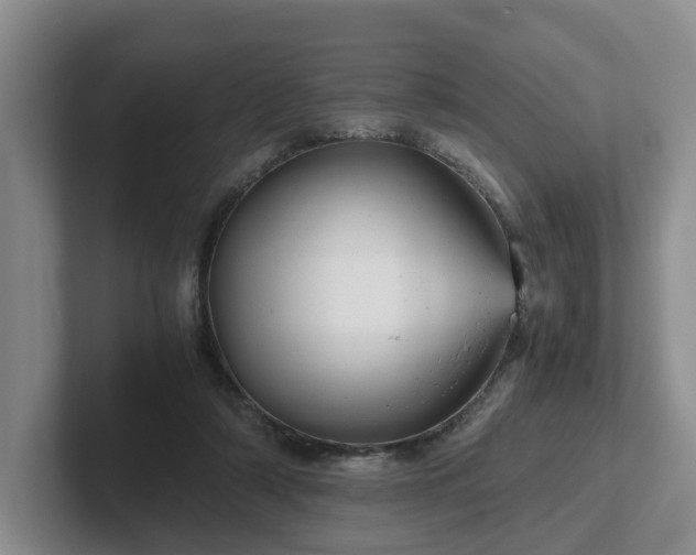 X0000102480306200808151455