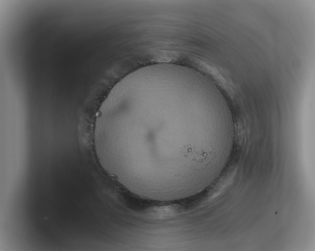 X0000102480307200808151455