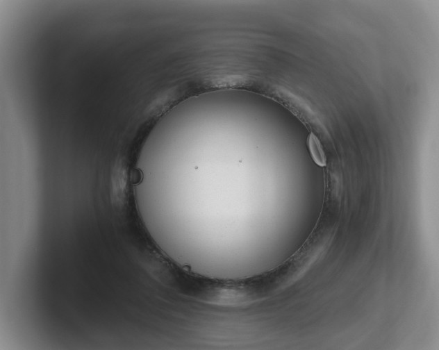 X0000102480308200808151455