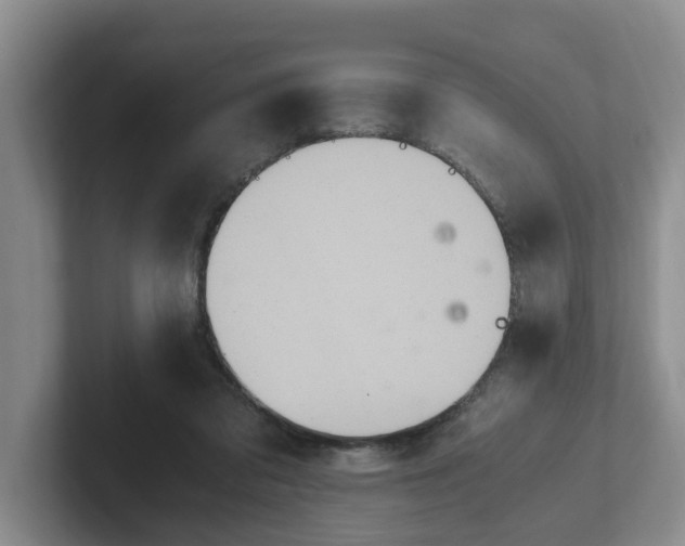 X0000102480309200808151455