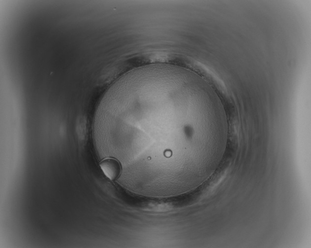 X0000102480311200808151455