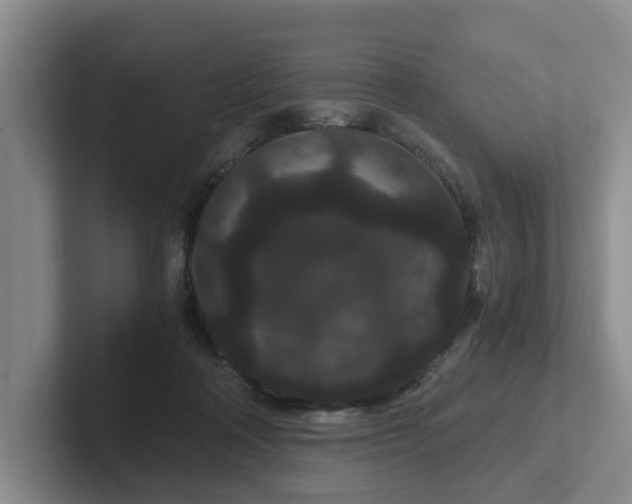 X0000102480314200808151455