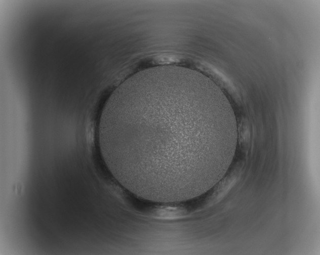 X0000102480315200808151455