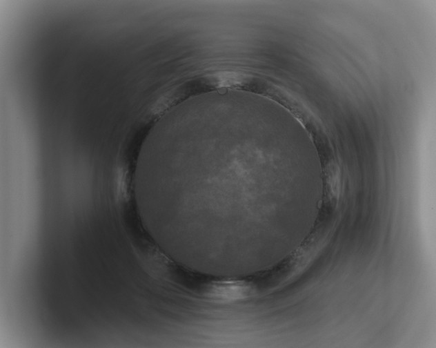 X0000102480316200808151455