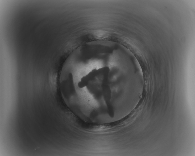 X0000102480319200808151455