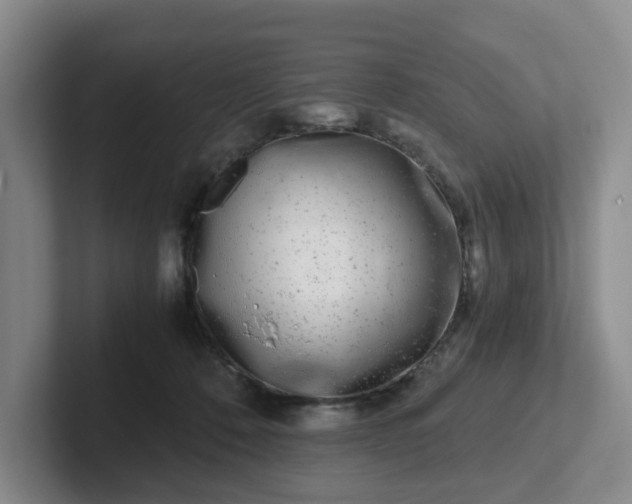 X0000102480320200808151455