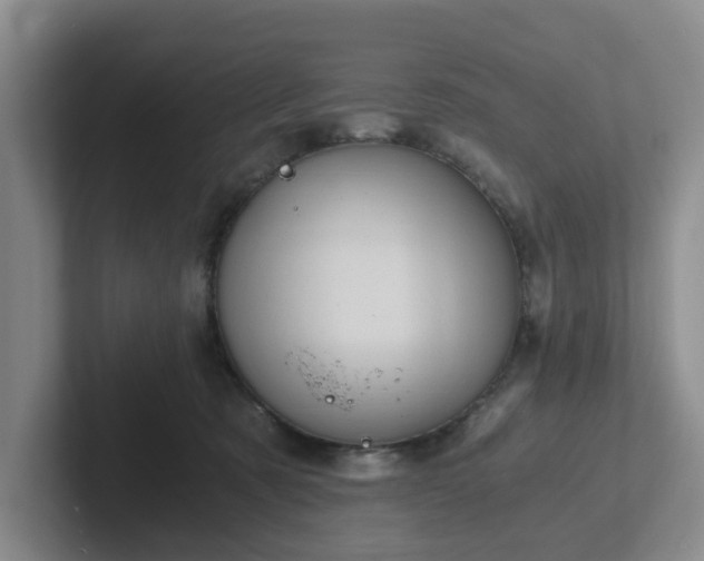 X0000102480321200808151455