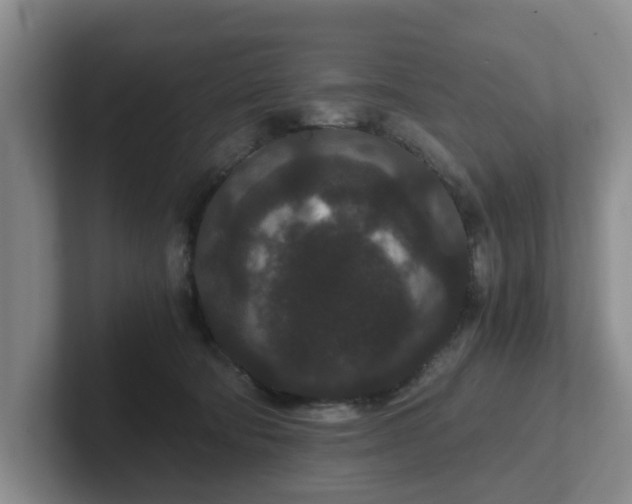 X0000102480322200808151455