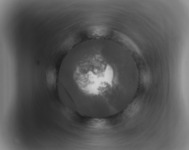 X0000102480328200808151455