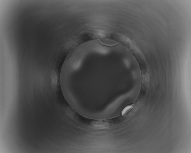 X0000102480331200808151455