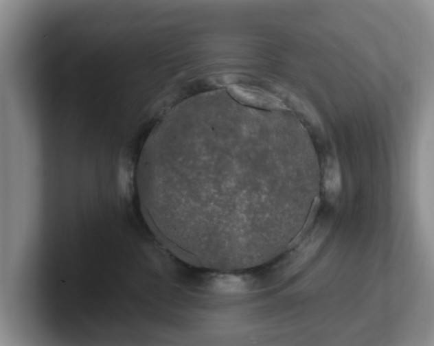 X0000102480332200808151455