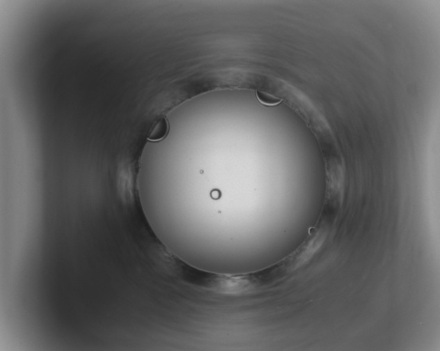 X0000102480333200808151455