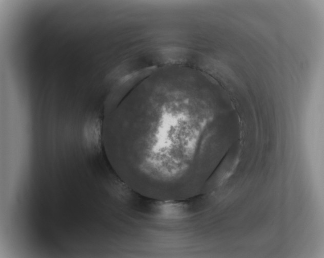 X0000102480336200808151455