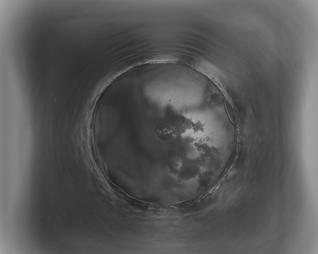 X0000102480337200808151454