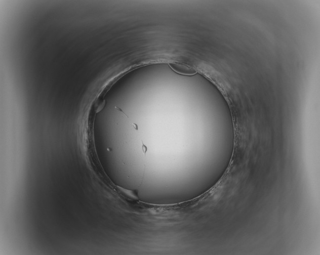 X0000102480338200808151454