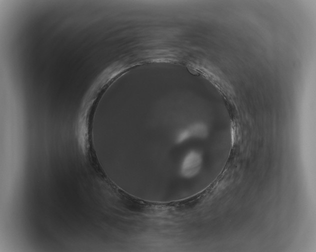 X0000102480339200808151454