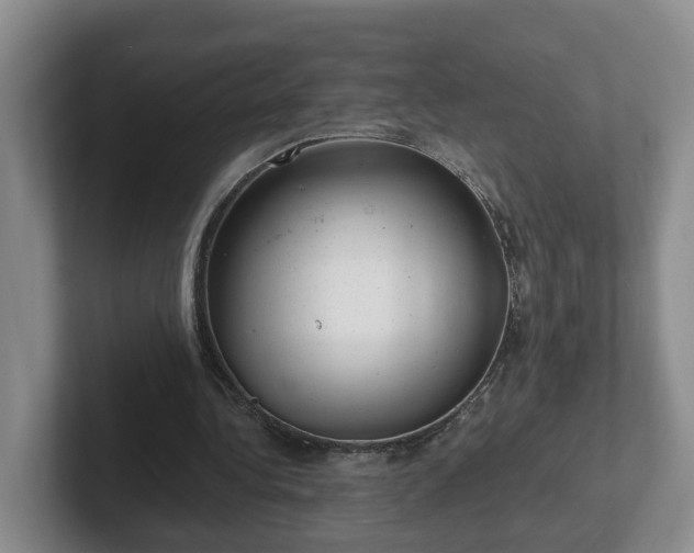 X0000102480340200808151454