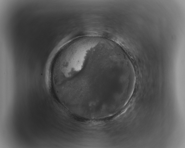 X0000102480343200808151454