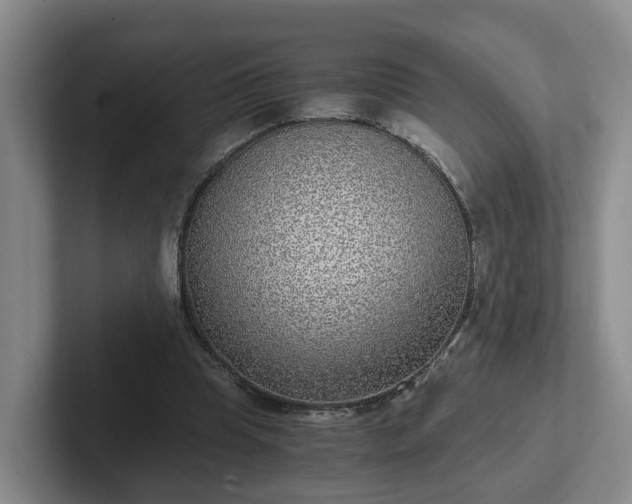 X0000102480345200808151454