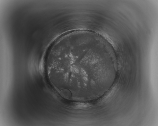 X0000102480347200808151455