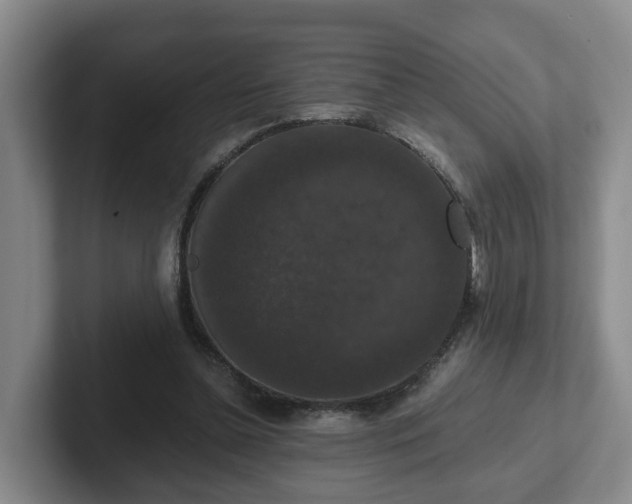 X0000102480348200808151455