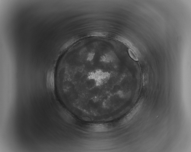 X0000102480349200808151455