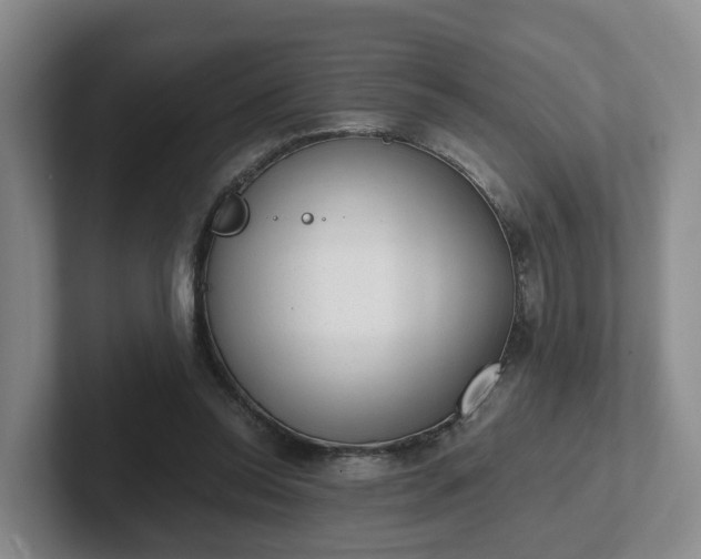 X0000102480350200808151455