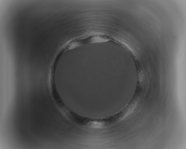 X0000102480352200808151455