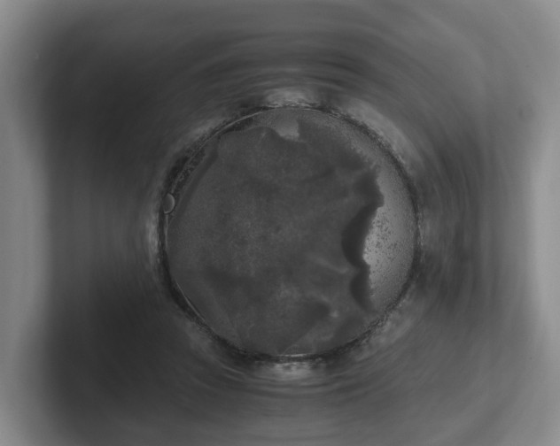 X0000102480353200808151455