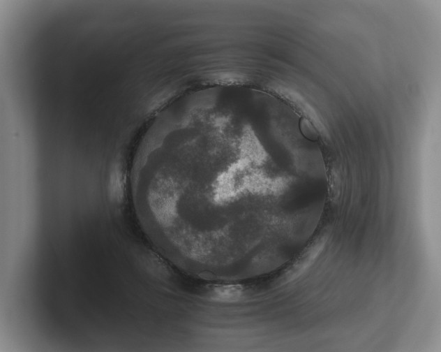 X0000102480355200808151455