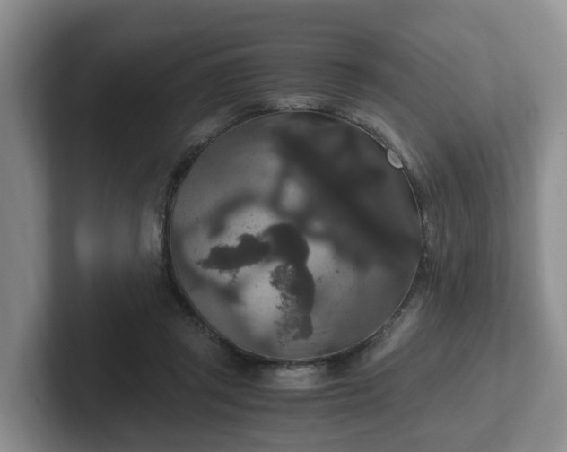 X0000102480357200808151455