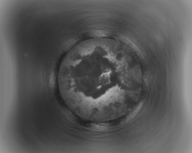 X0000102480359200808151455