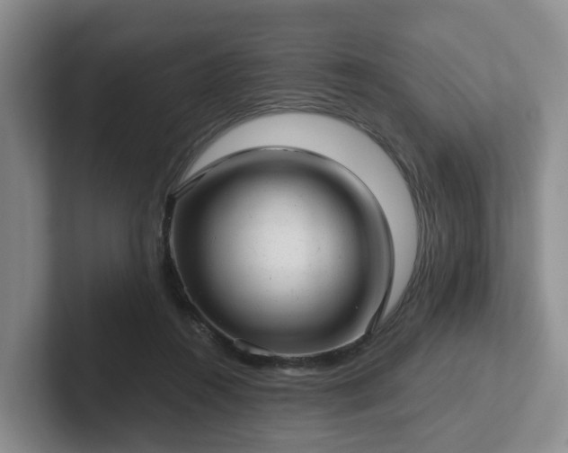 X0000102480360200808151455