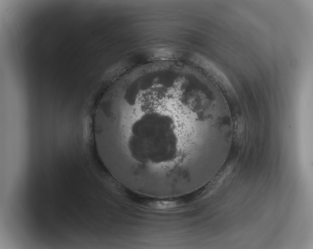 X0000102480361200808151455