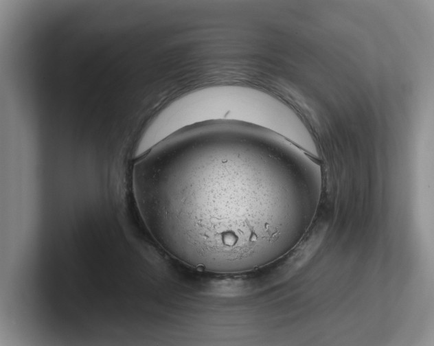 X0000102480362200808151455