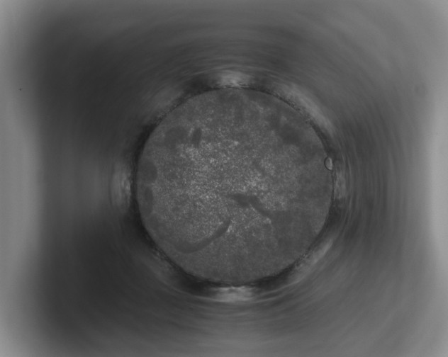 X0000102480363200808151455