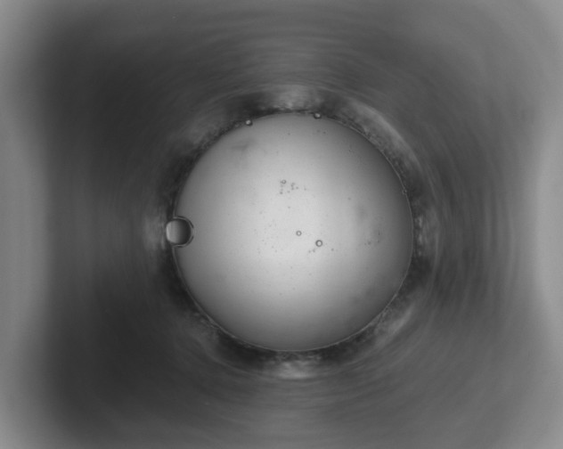 X0000102480368200808151455