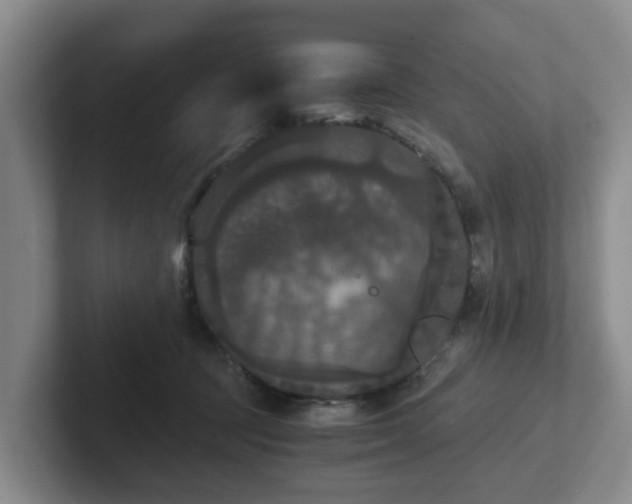 X0000102480369200808151455