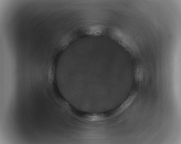 X0000102480370200808151455