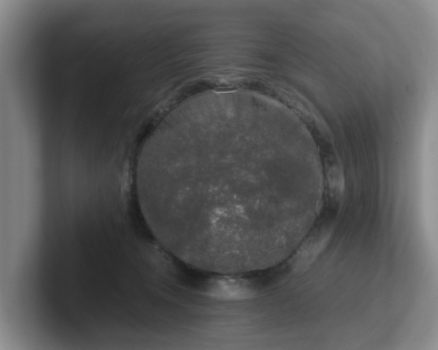 X0000102480372200808151455