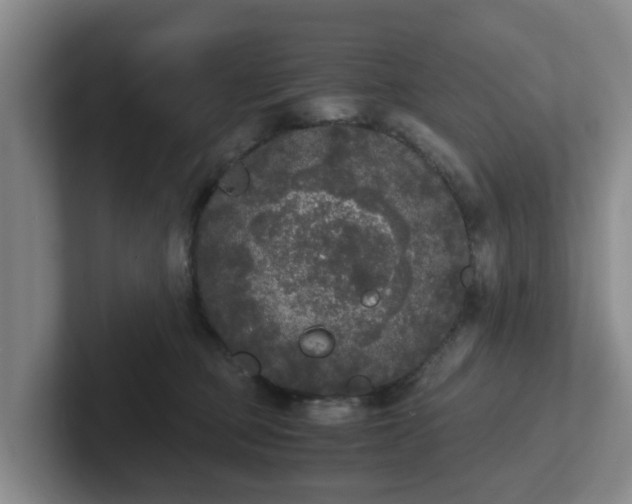 X0000102480373200808151455