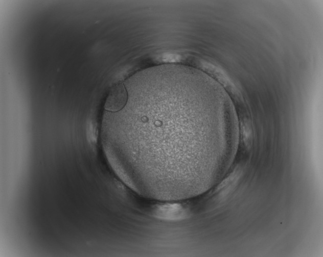 X0000102480374200808151455