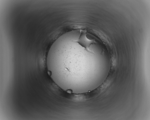 X0000102480376200808151455