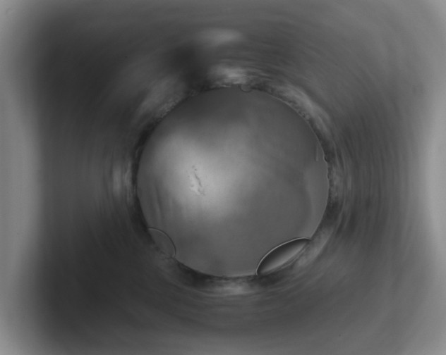 X0000102480377200808151455