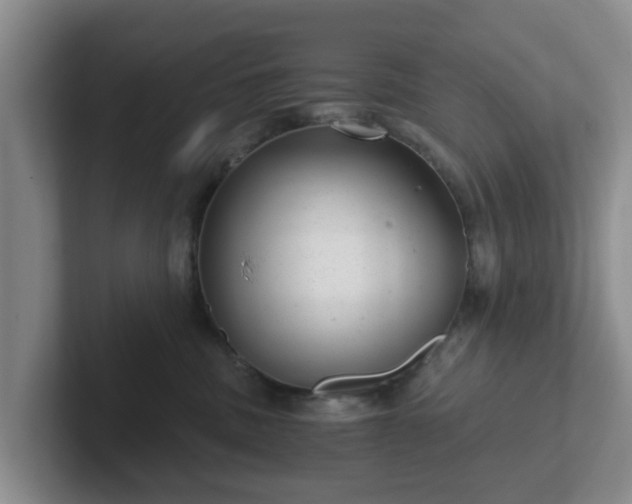 X0000102480379200808151455