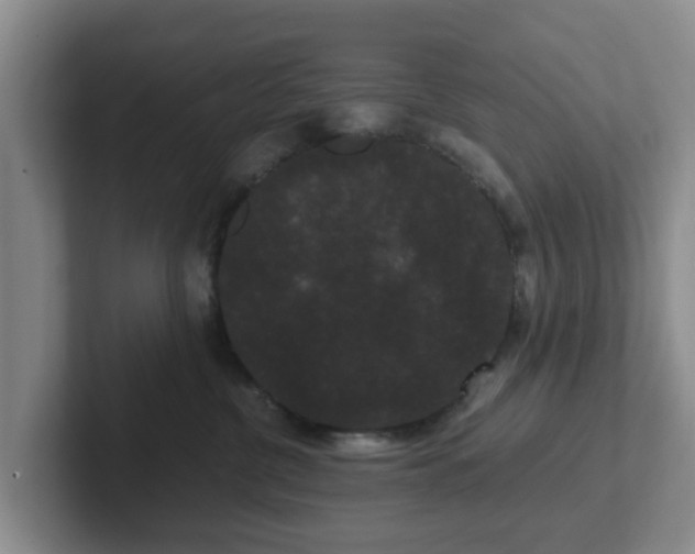 X0000102480380200808151455