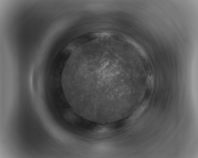 X0000102480381200808151455