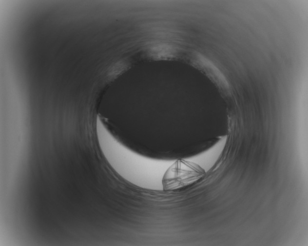 X0000102480382200808151455