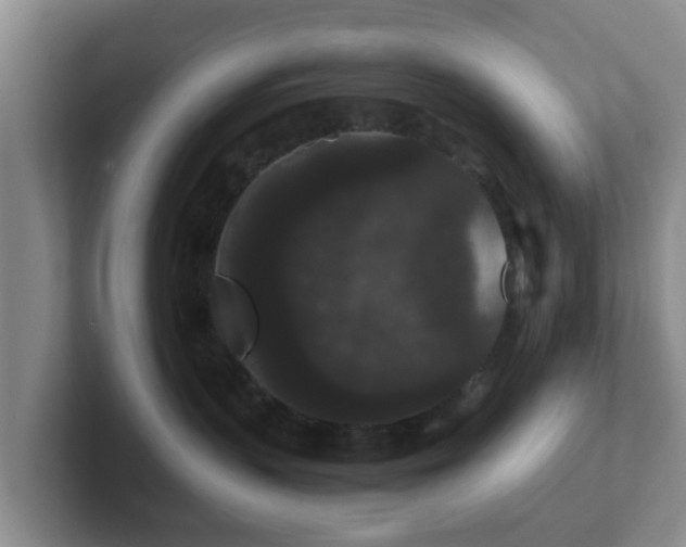 X0000102480383200808151455